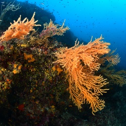 1 er janvier 2024 _ Roustaud